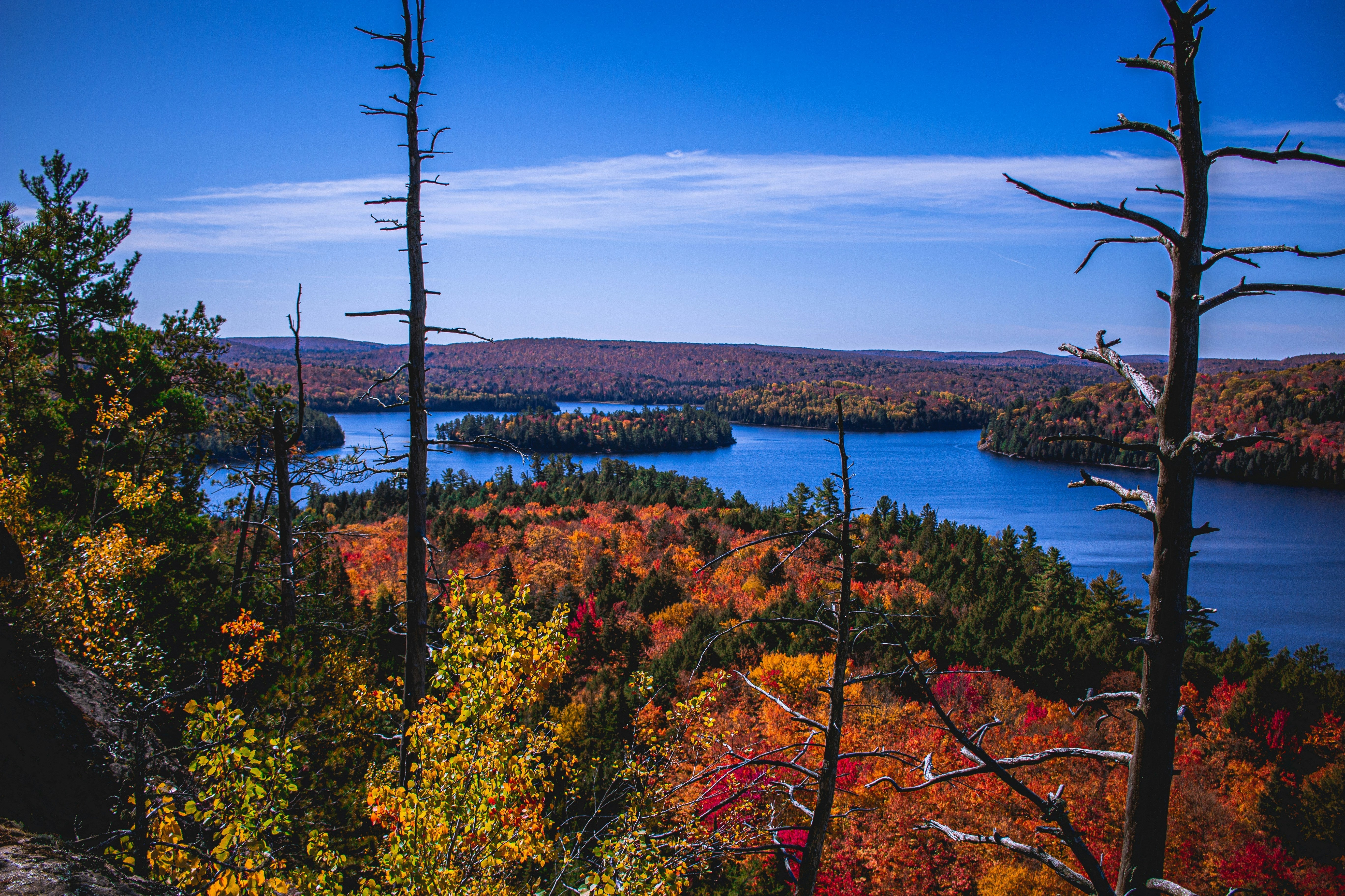 Top 7 Scenic Camping and Hiking Spots in Ontario for 2025